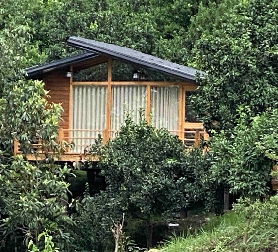 کلبه جنگلی ارتینا 3 سوادکوه